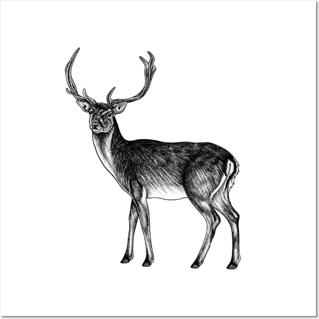 Sika deer stag Wall Art by lorendowding